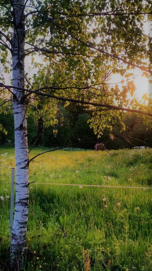 Tuhannen Tarinan Talo Kannuskoski Buitenkant foto